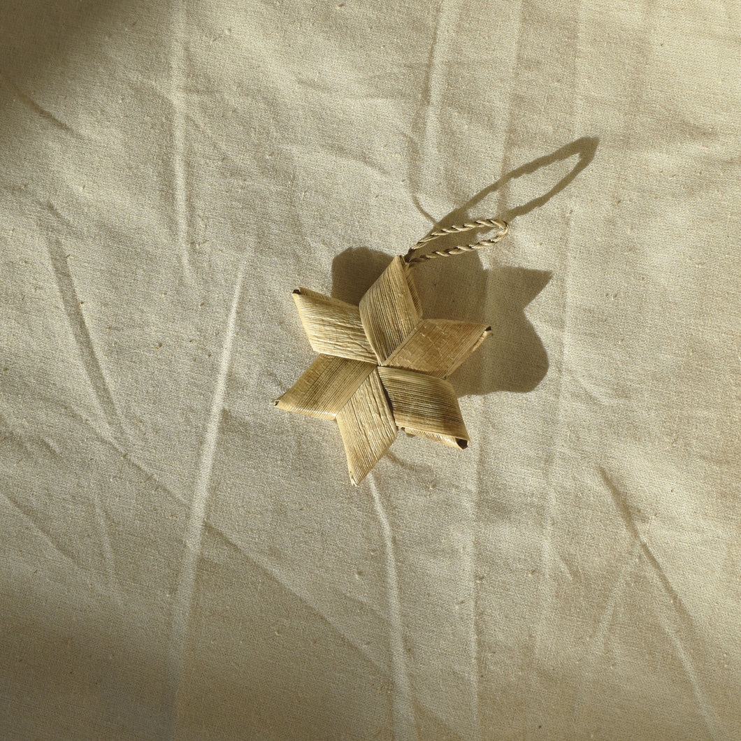 MEDIUM PALM STAR